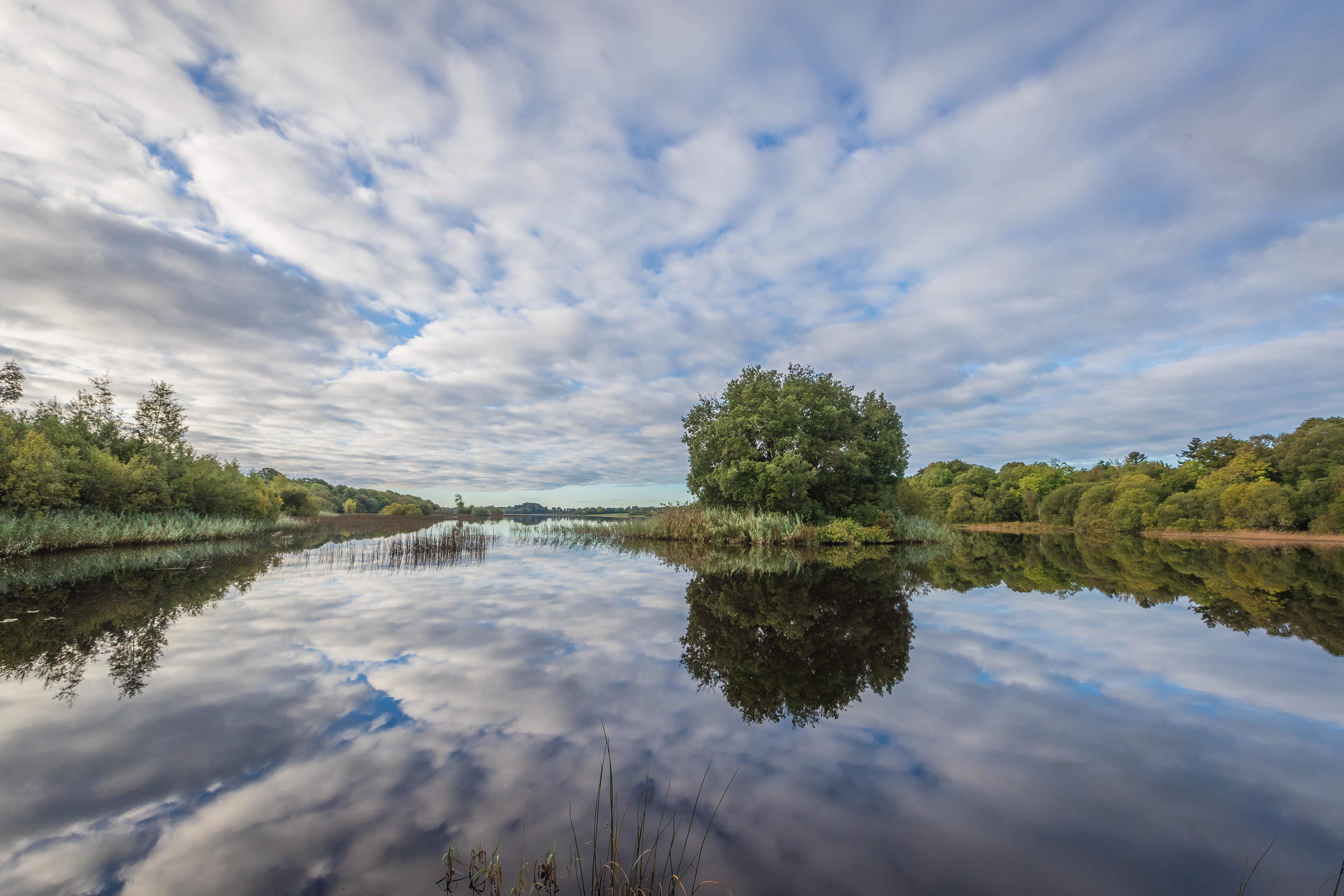 Lough Rynn Castle Hotell Mohill Exteriör bild